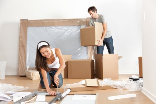 Screen-reader compatible Ham removals information