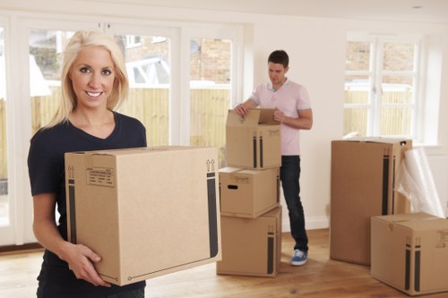 Inclusive accessibility support for Ham area removals