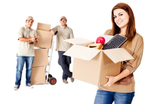 Risk assessment planning for a property removal